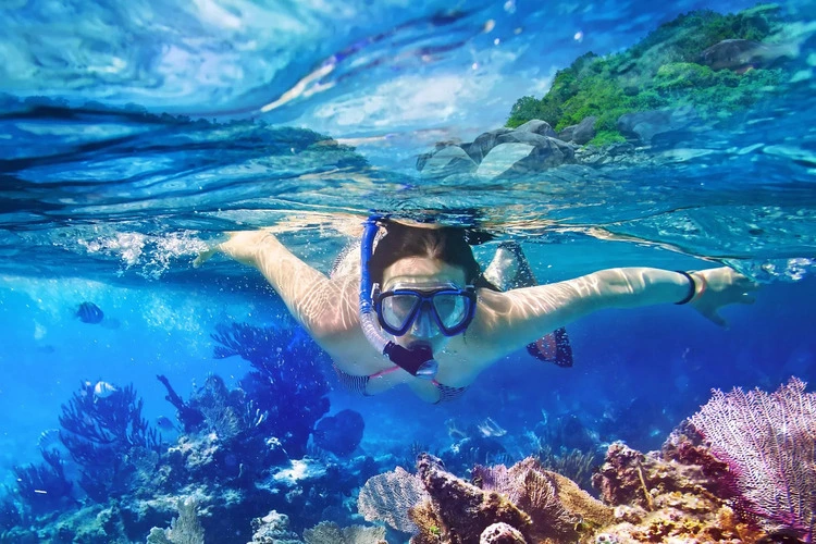 snorkeling tours